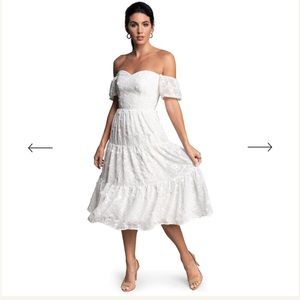 Dress the Population River Dress, White NWT!!!